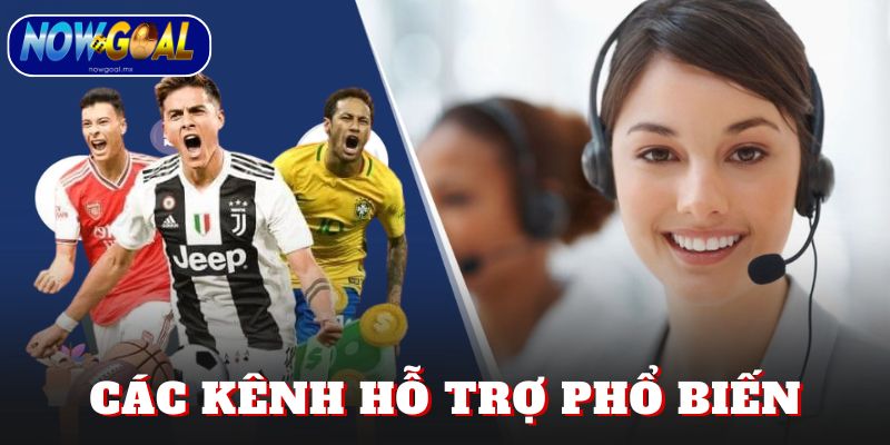 Các kênh hỗ trợ phổ biến